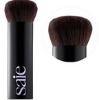 THE BIG BRUSH-SAIE