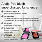 Color Fuse Blush Powder with Fermented Arnica - Haus Labs by Lady Gaga
