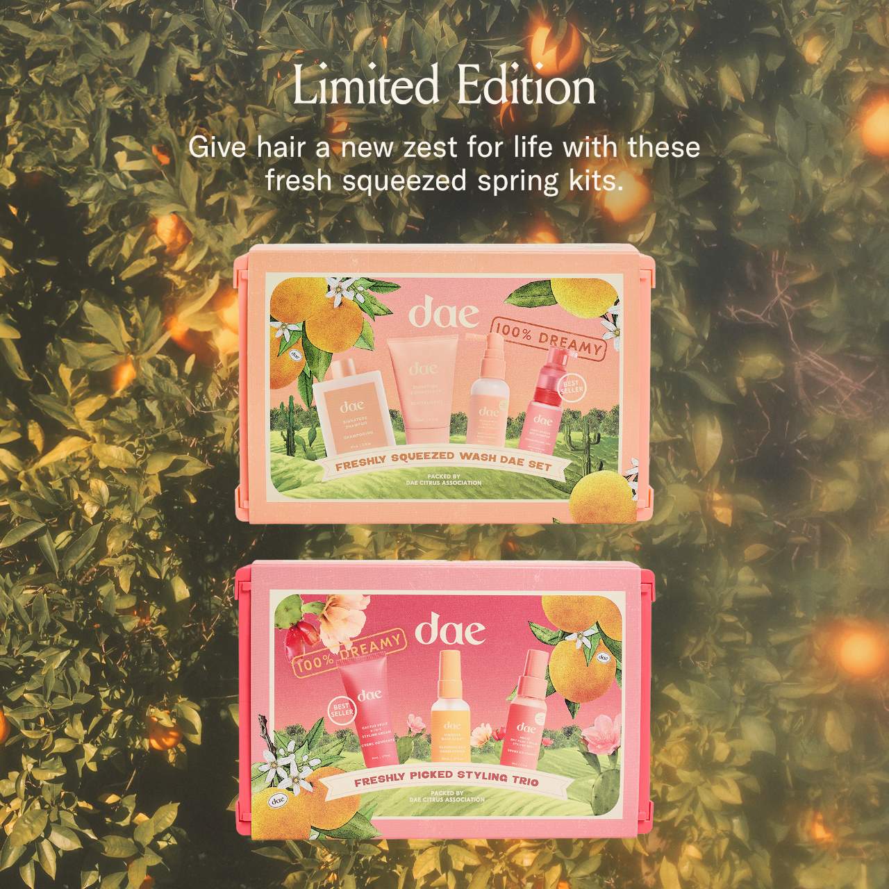 Freshly Picked Styling Trio - Dae Hair